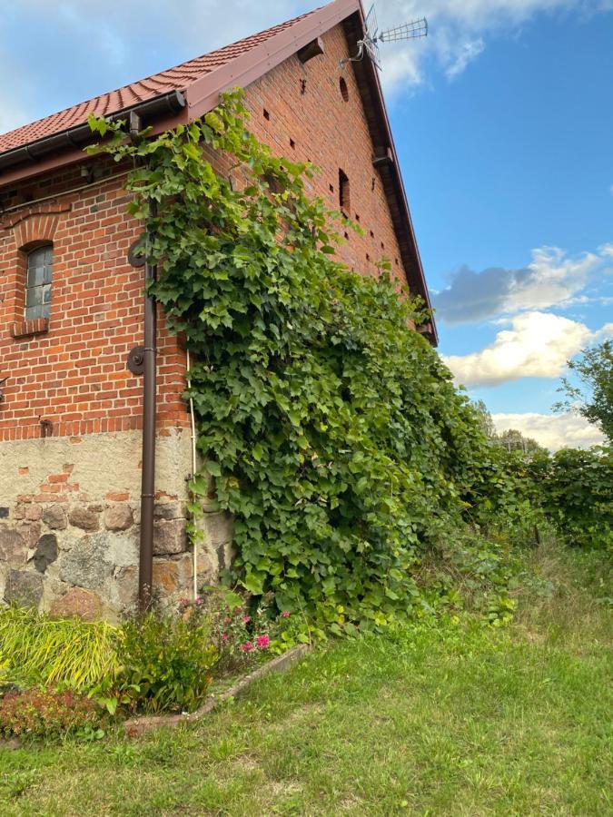 Mlyn Wodny Eko Hillar Villa Rybno  Eksteriør billede